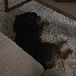 Meet your Posher, Joann